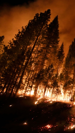 Wildfires burn in Northern California