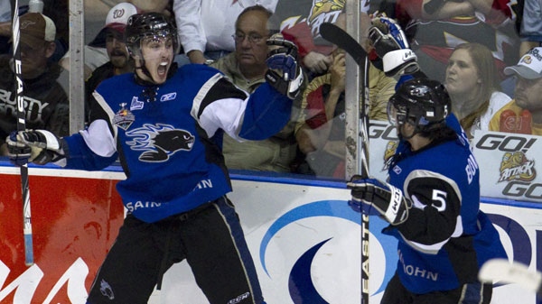 Saint John Sea Dogs Tomas Jurco (left) celebrates his game tying goal with teammate Gabriel Bourret during third period Memorial Cup action against the Owen Sound Attack in Mississauga, Ontario, on Monday, May 23, 2011. THE CANADIAN PRESS/Frank Gunn