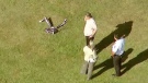 In this image taken from video and provided by WABC-TV in New York, investigators stand near a remote controlled toy helicopter that apparently struck and killed a 19-year-old man Thursday, Sept. 5, 2013, at Calvert Vaux Park in the Brooklyn borough of New York. (WABC-TV)