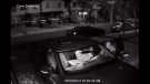 Windsor police posted security video of a suspect wanted in connection to a theft from a car in Walkerville. (YouTube)