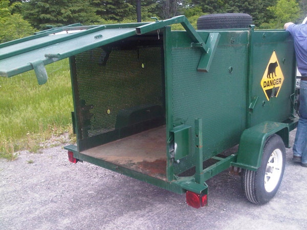 A bear trap is set up in the Bells Corners area to catch and relocate the animals, Thursday, June 2, 2011.