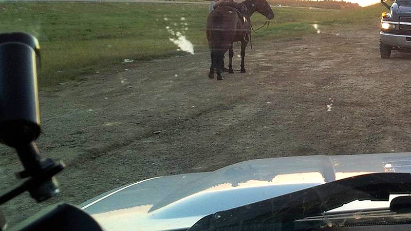 Spruce Grove/Stony Plain RCMP said a man whose license was suspended for impaired driving used his horse to make it home Tuesday, September 10. Supplied.
