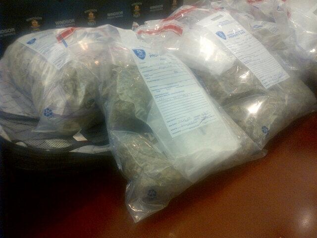 Windsor police released this photo of marijuana seized from two storage lockers in Windsor, Ont.