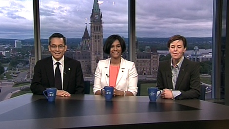 Kellie Leitch, a star Conservative candidate, Rathika Sitsabaiesan, one of the new NDP faces, and Ted Hsu, one of two rookie Liberals elected, speak to Canada AM about what they hope to accomplish at their new job. 