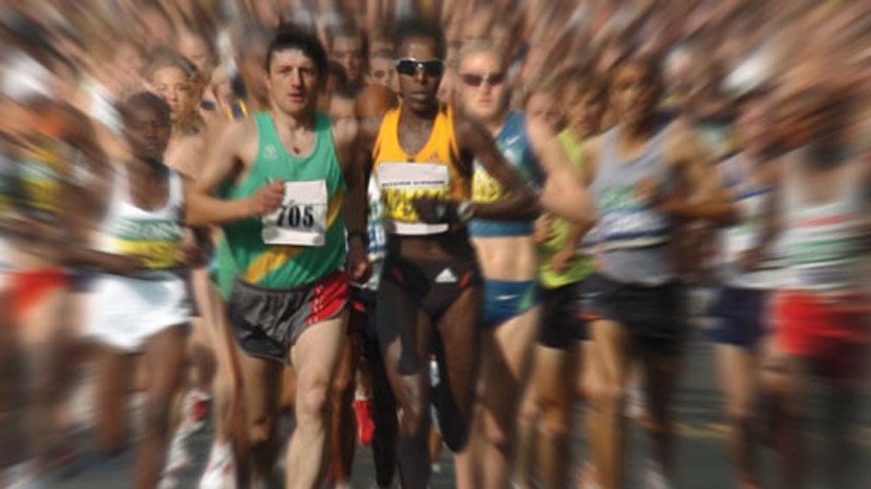 montreal 2013 marathon