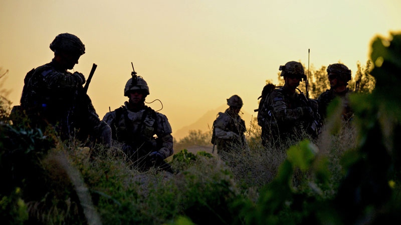 American and Canadian soldiers pick their way through a grapefield at sunrise on Thursday June 2, 2011, for a joint patrol, in Zangabad, Afghanistan. (THE CANADIAN PRESS/ Murray Brewster)