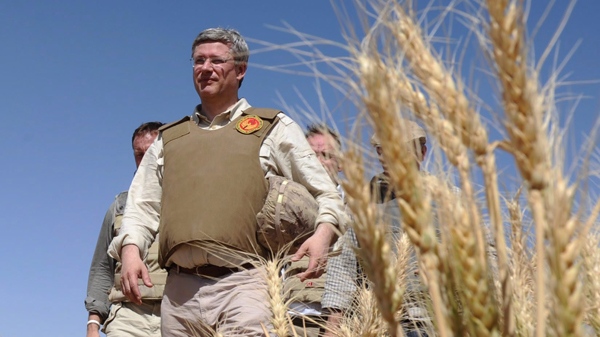 Prime Minister Stephen Harper walks through a wheat field at Tarnack Farms in Afghanistan on Monday, May 30, 2011. (Sean Kilpatrick  / THE CANADIAN PRESS)