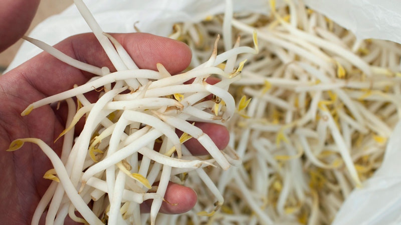In this June 5, 2011 picture bean sprouts are photographed in Berlin, Germany. (AP / Gero Breloer)