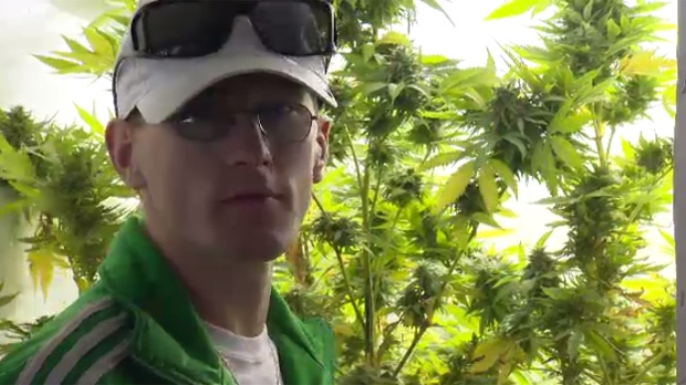 Steven Stairs has a licences to grow marijuana