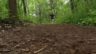 Ottawa police are investigating a sexual assault on a trail in Rockliffe Park, Monday, June 6, 2011.