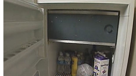 A new Manitoba Hydro program will pay customers for their old refrigerators.