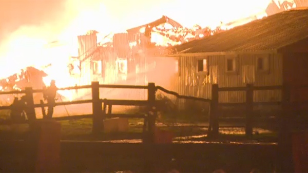 14 horses died when these stables caught fire in R