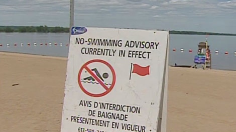 High E. coli levels at Petrie Island's East Bay Beach meant no swimming, Monday, June 20, 2011.