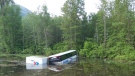 A Greyhound bus carrying 18 passengers landed in a swamp near Clearwater, B.C. after the driver swerved to avoid a moose. June 22, 2011. (Handout)
