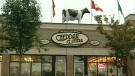 This cow sign on the roof of an Orleans business is in violation of an Ottawa city bylaw, Thursday, June 23, 2011.