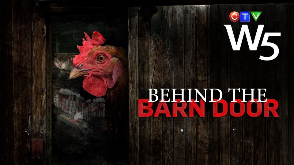 W5: Behind the Barn Door