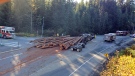 Police say a motorcyclist has died after being struck by logs that spilled from a truck on the Sea-to-Sky Highway, Sat. Oct. 19, 2013.