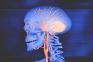 While some studies say the neck manipulation procedure is safe,others point to a risk that it can tear arteries in the neck,or send clots into the brain.