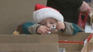 A child picks out Christmas ornaments 