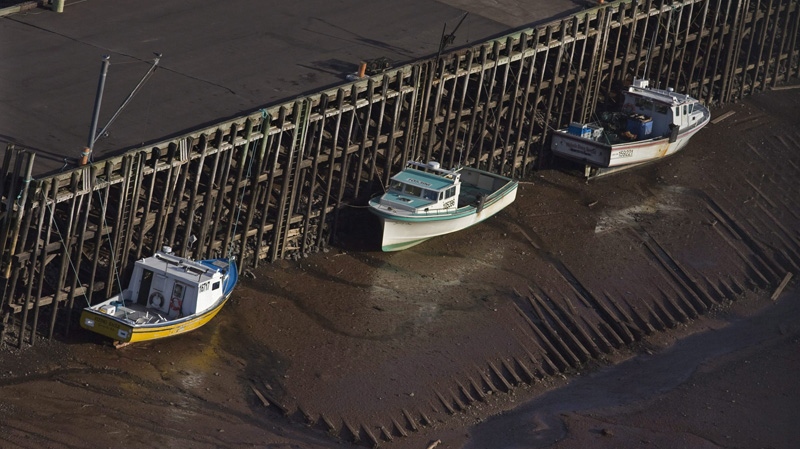 In this Nov. 2009 file photo, fishing boats rest on their hulls at low tide at a wharf in Parrsboro, N.S. in the Bay of Fundy. (THE CANADIAN PRESS/Andrew Vaughan)