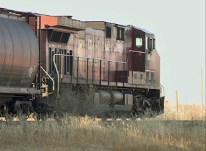 A man is dead after he was struck by a train in Regina's west end Wednesday morning.