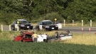 An 81-year-old woman was killed in a head-on collision on Highway 31 near Winchester, Wednesday, July 6, 2011. 