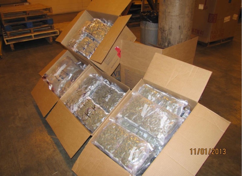 U.S. Customs and Border Protection officers discovered 156lbs of marijuana packed within a shipment of frozen vegetables in Detroit. (U.S. Customs and Border Protection Agency)