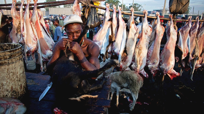 Slaughterhouse worker Christopher readies a goat for skinning at La Saline outdoor market in Port-au-Prince, Haiti, Saturday July 9, 2011. (AP / Eduardo Verdugo)