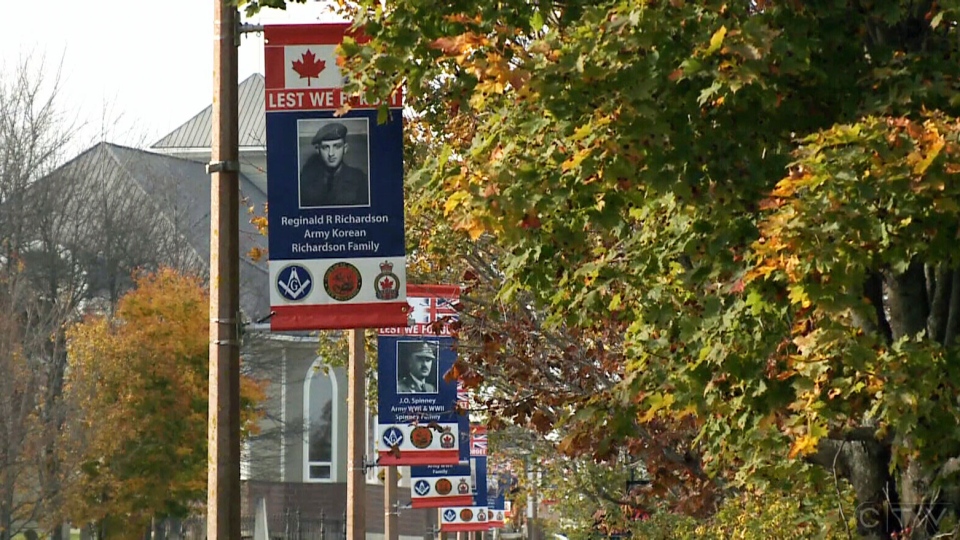 Banners in N.B. town honour local veterans