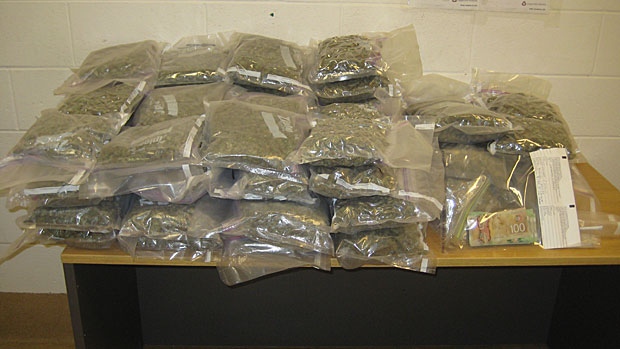 Canmore RCMP pot bust