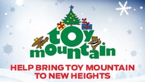 Toy Mountain 2013