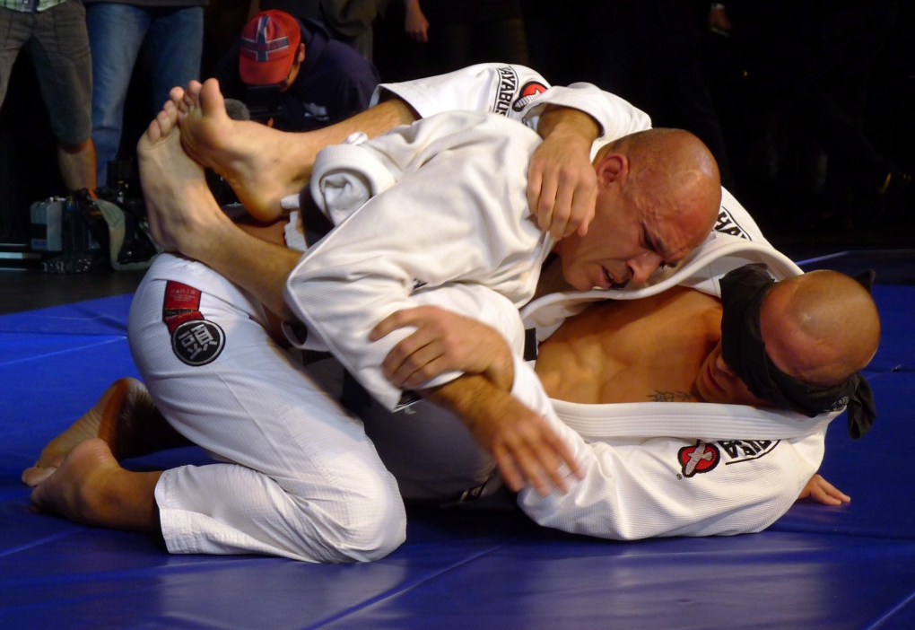  Georges St-Pierre and Royce Gracie 