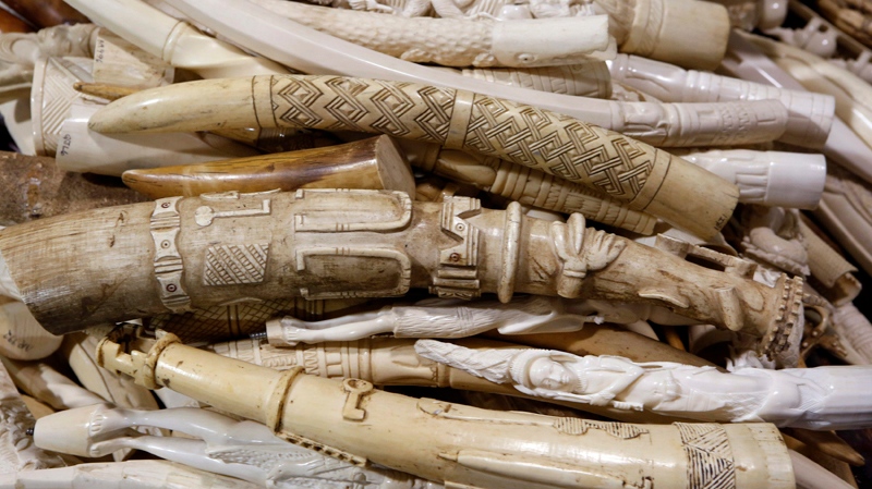 U.S. to crush 6 tons of ivory