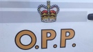 OPP are investigating after a multi-vehicle collision on Hwy. 7. (Scott Miller / CTV London)