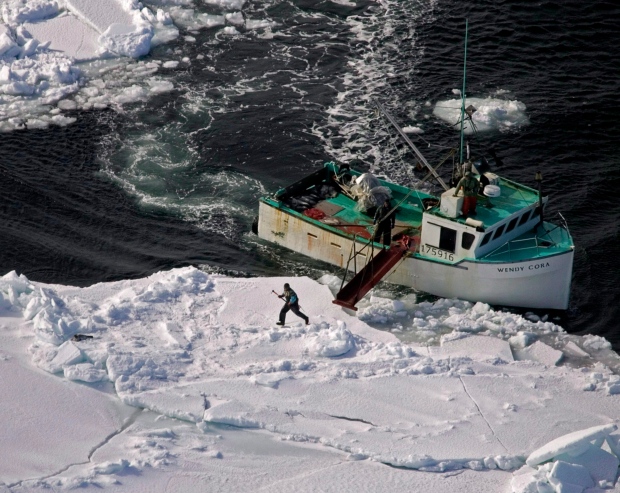 Advocates on both sides of canadas seal hunt await wto 