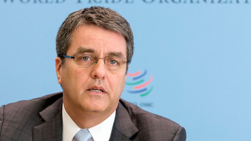 WTO director