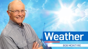 Forecast Bob