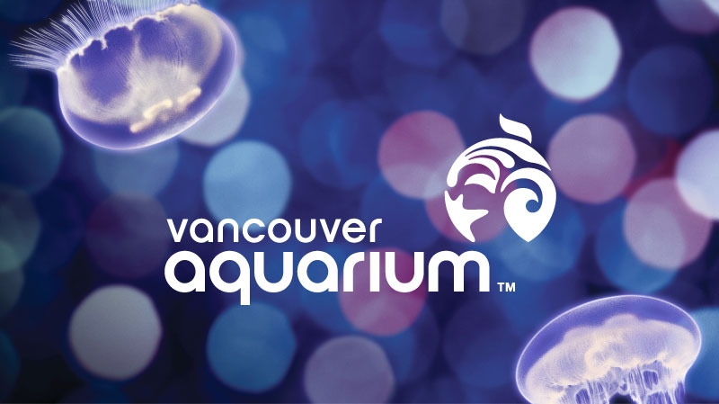 Vancouver Aquarium: Luminescence