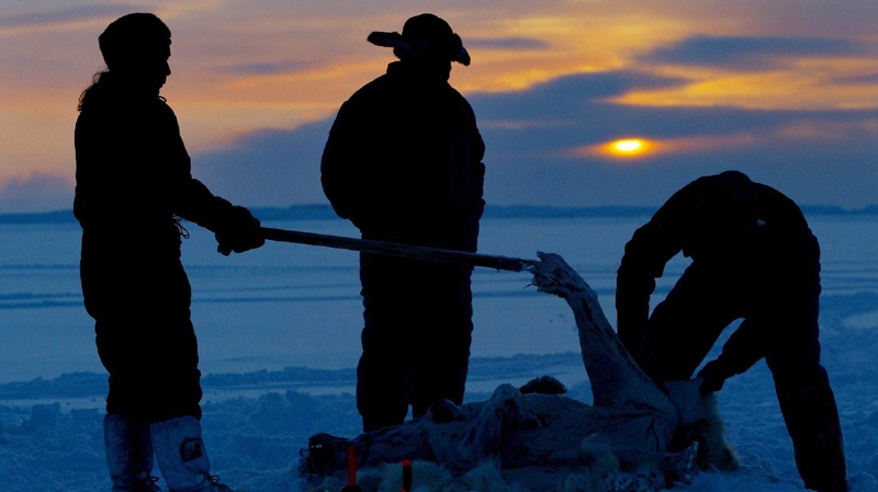 FILE - This is a Feb. 2, 2003 file photo of Inuit hunters skin a polar bear on the ice during the traditional hunt on Frobisher Bay near Tonglait, Nunavut. Global mercury emissions could grow by 25 percent by 2020, if no action is taken to control them, posing a threat to polar bears, whales and seals and the Arctic communities who hunt them for food, an authoritative international study says.