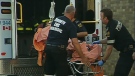 Toronto police have found a male suspect after a woman was stabbed in North York on Monday, July 25, 2011.