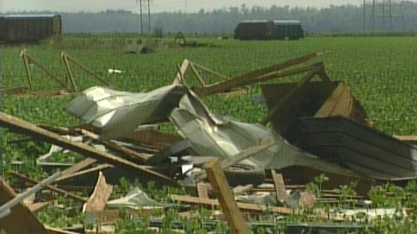 A day after a major storm, damage is visible in Enniskillen Township, southeast of Sarnia, Ont. on Sunday, July 24, 2011.