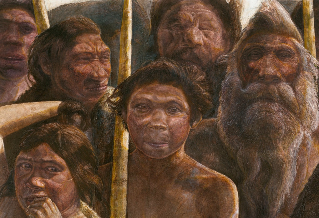 Sima de los Huesos hominins