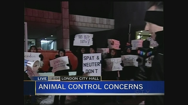 Animal rights activists protest outside city hall in London, Ont. on Monday, Dec. 9, 2013.