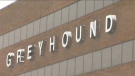Greyhound bus terminal sign 