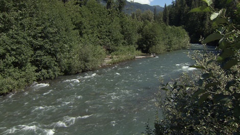 One man is dead and a woman is missing after being swept away by Cheakamus River near Whistler, B.C. on Saturday, August 6, 2011. (CTV)
