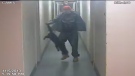 This image taken from surveillance video and released by the London Humane Society shows Justin Kloda, who pleaded guilty to animal cruelty involving a cat, during the incident.