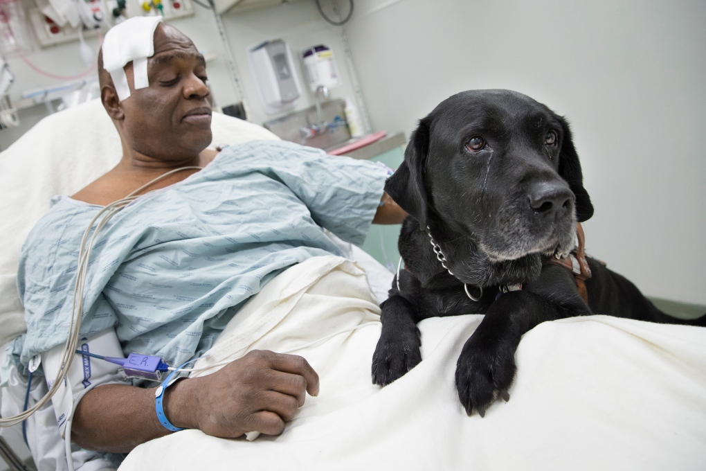 Dog saves blind man