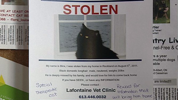 The Lafontaine Veterinary Clinic is asking for the public's help to locate Binx. A $500-reward has been offered.