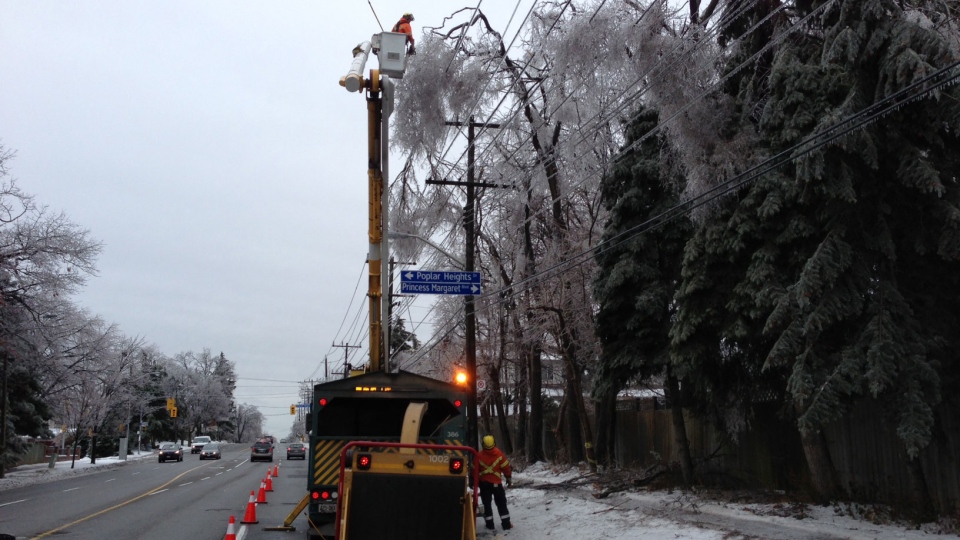Hydro workers clearing branches from power line 
