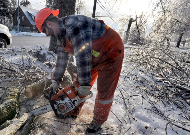 Peel Region employee Dwayne Berrigan cuts limbs from iced trees in Brampton, Monday, December 23, 2013. (J.P. Moczulski / THE CANADIAN PRESS)